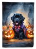 Black Newfoundland Puppy Halloween House Flag Large Porch Sleeve Pole Decorative Outside Yard Banner Artwork Wall Hanging, Polyester, House Size