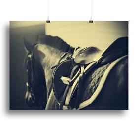Saddle with stirrups on a back of a sport horse Canvas Print or Poster (Type: Standard Framed Canvas Print, size: 24" x 16" / 60cm x 40cm (approx))