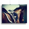 Saddle with stirrups on a back of a brown horse Canvas Print or Poster